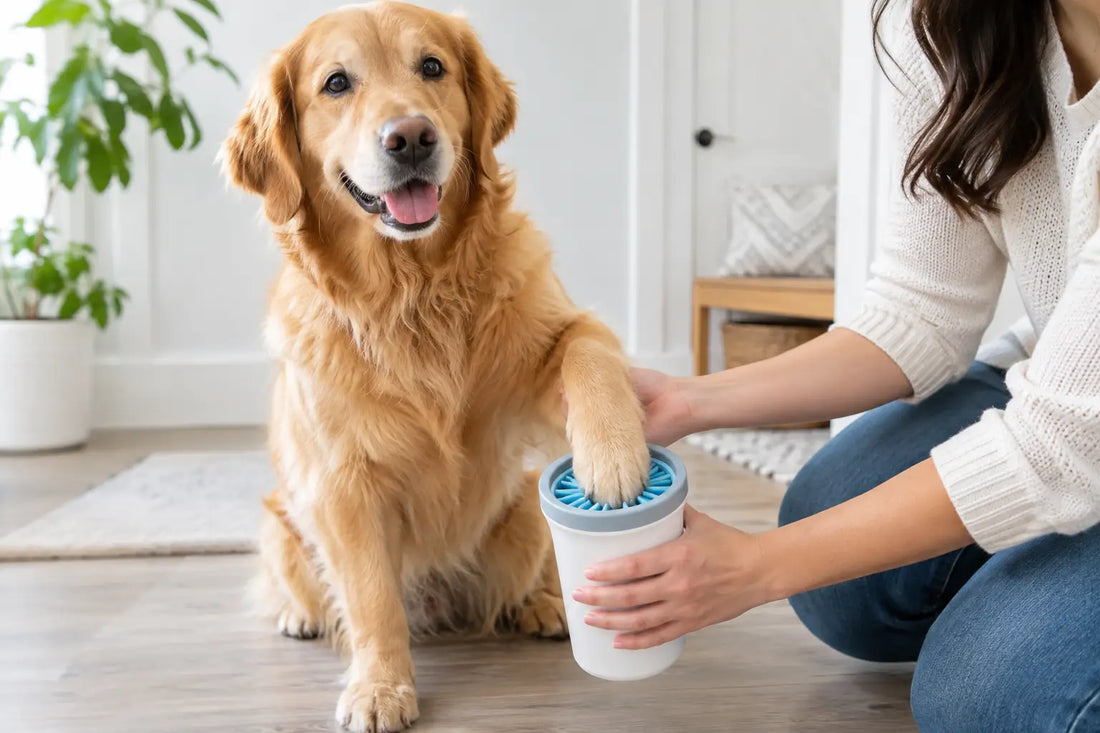 How a Dog Paw Cleaner Keeps Your Home Cleaner