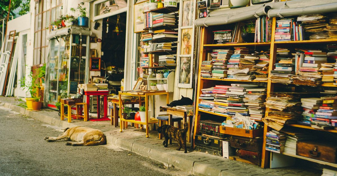 A quaint bookstore with vintage charm, colorful books, and relaxed dog on the sidewalk.
