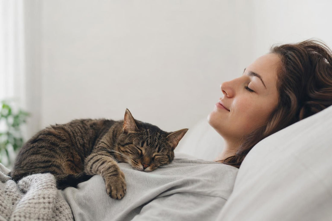 Why Does My Cat Sleep on My Chest?