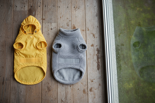 Dog Raincoat vs Dog Jacket: Which Should You Buy?