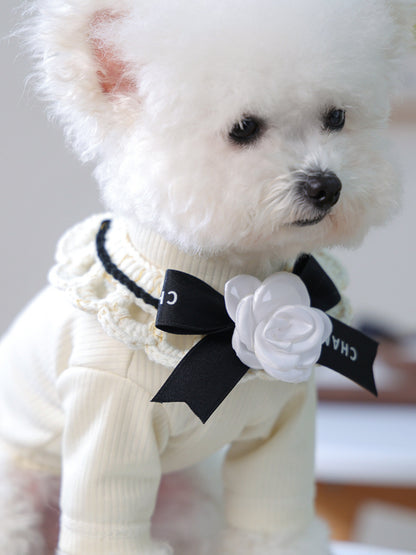 Contrast Pet Scarf