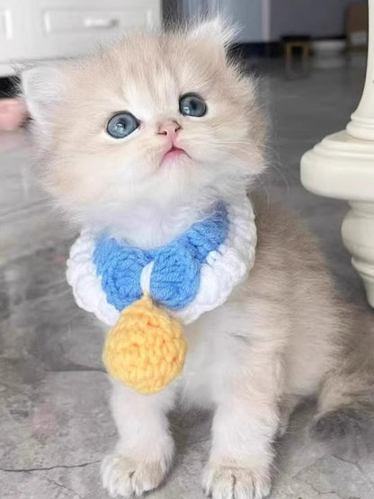 Crochet Pet Collars with Bell