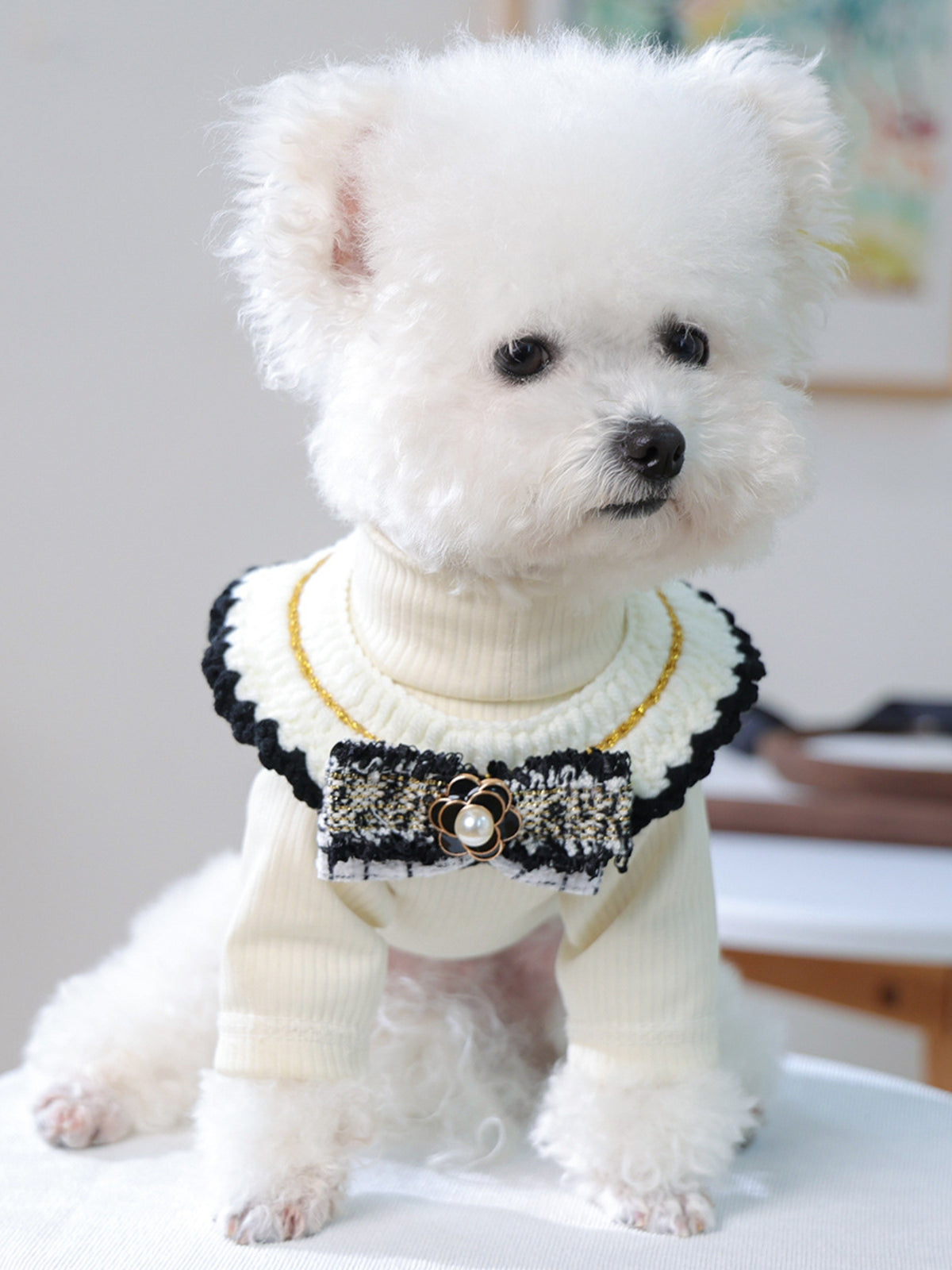 Contrast Pet Scarf