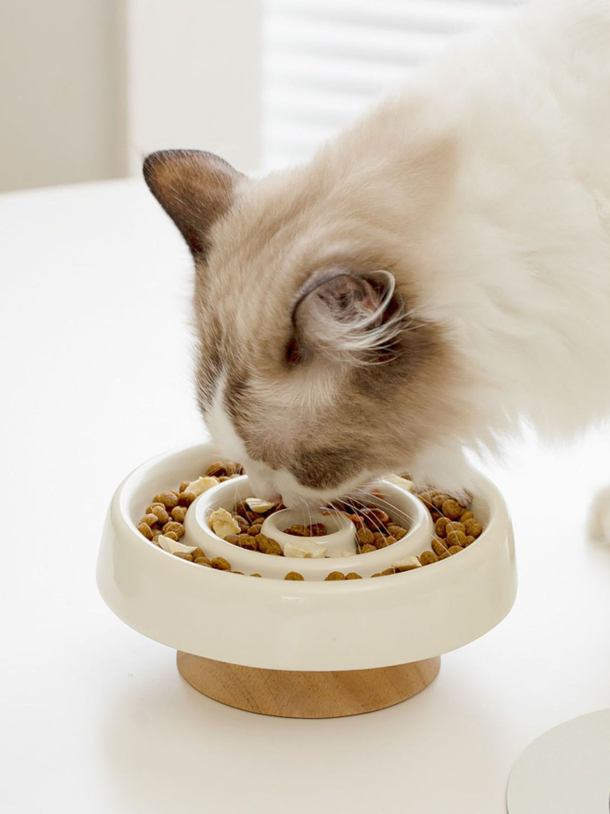 Interactive Slow Feeder Pet Bowl