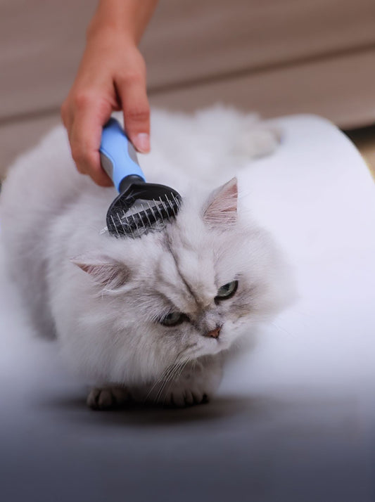 Reduces Shedding Pet Hair Removal Combs