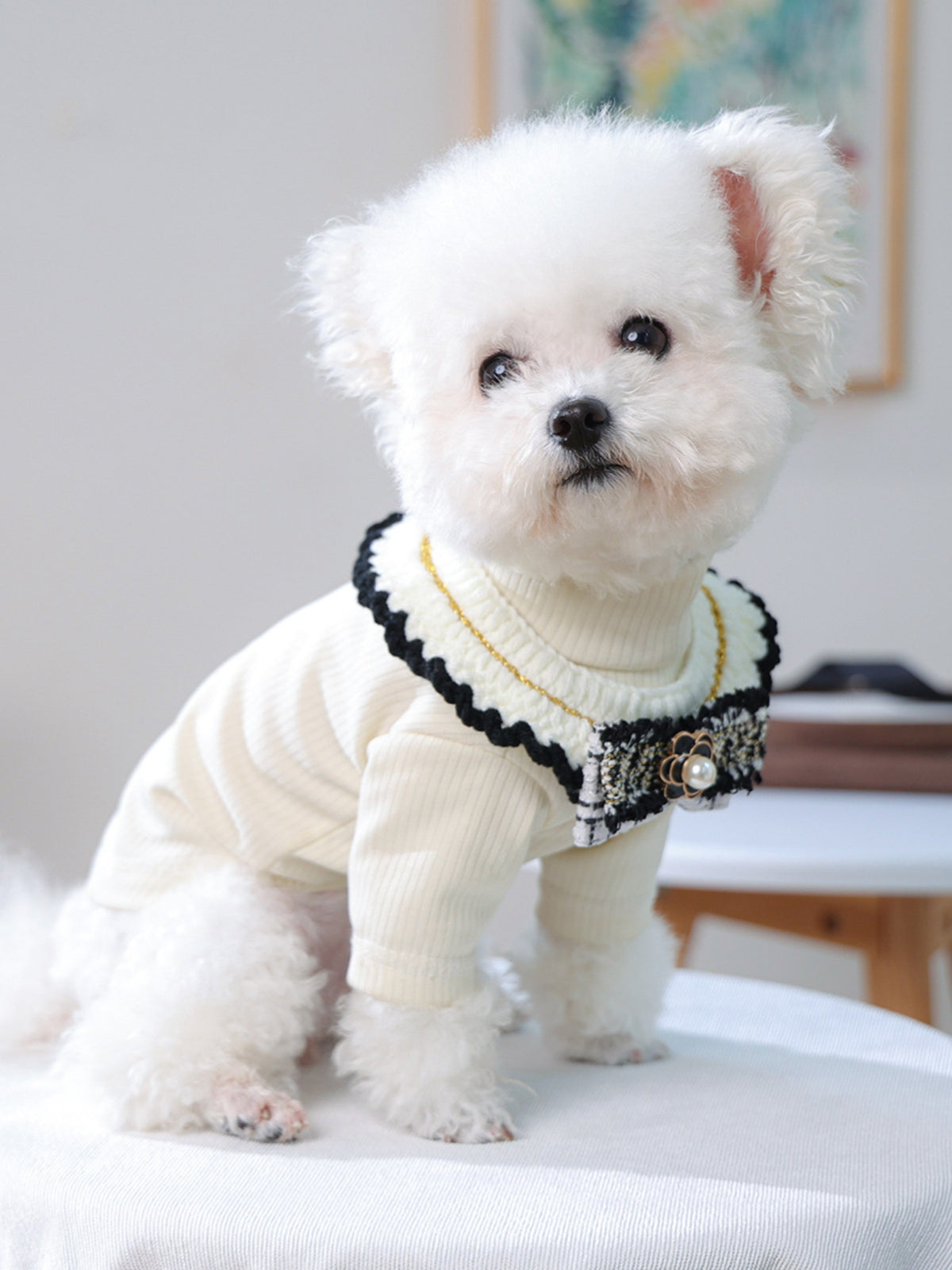 Contrast Pet Scarf