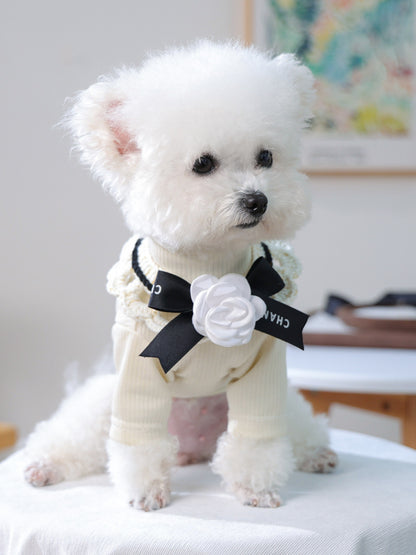 Contrast Pet Scarf