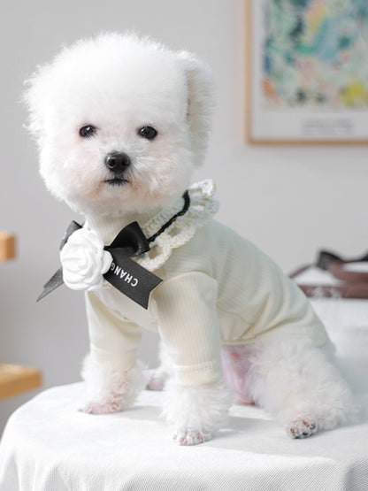Contrast Pet Scarf